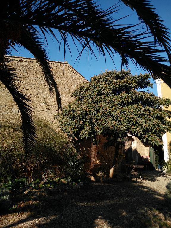 La Maison Des Palmiers Homps  Εξωτερικό φωτογραφία