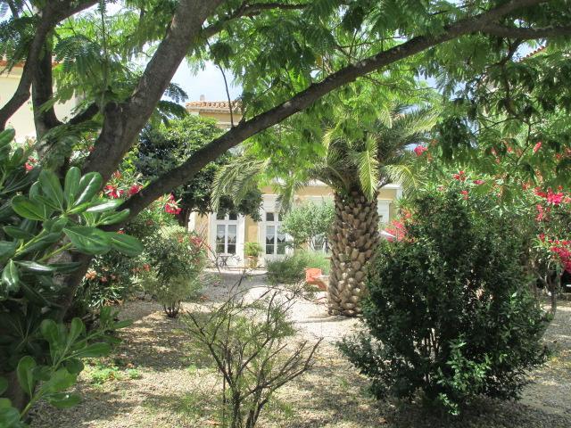 La Maison Des Palmiers Homps  Εξωτερικό φωτογραφία
