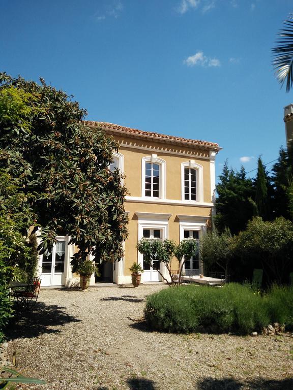 La Maison Des Palmiers Homps  Εξωτερικό φωτογραφία