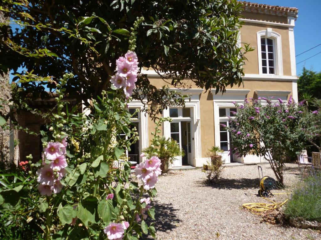 La Maison Des Palmiers Homps  Εξωτερικό φωτογραφία