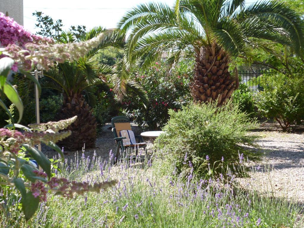 La Maison Des Palmiers Homps  Εξωτερικό φωτογραφία