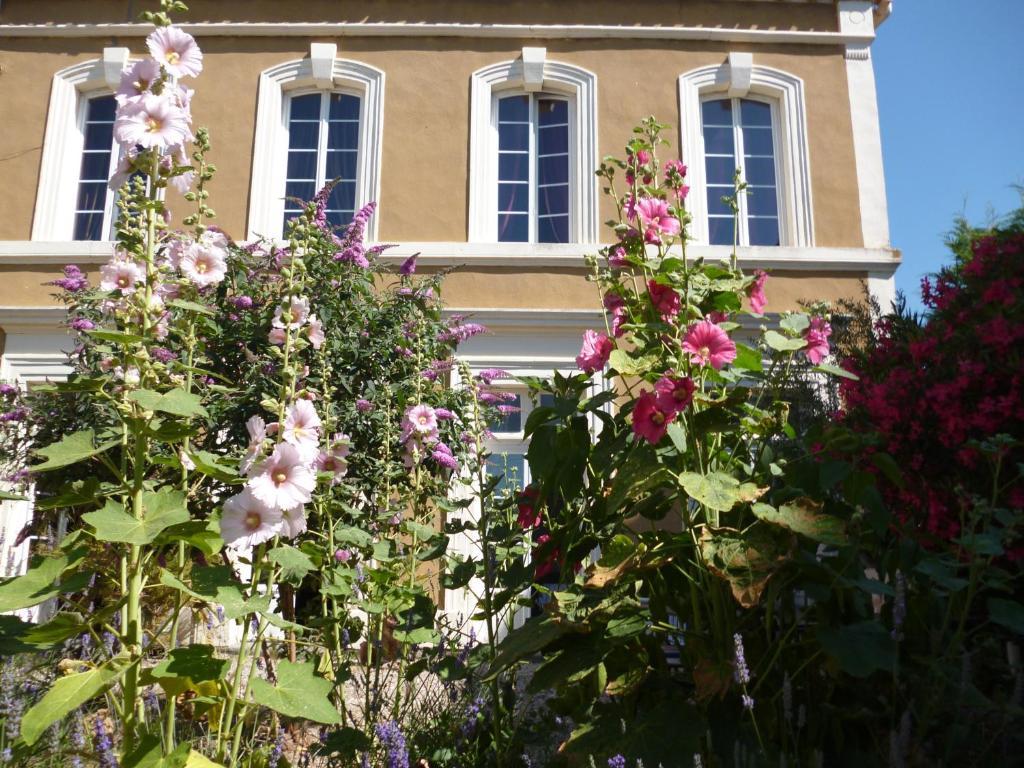 La Maison Des Palmiers Homps  Εξωτερικό φωτογραφία