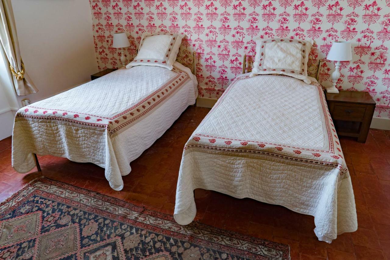La Maison Des Palmiers Homps  Εξωτερικό φωτογραφία