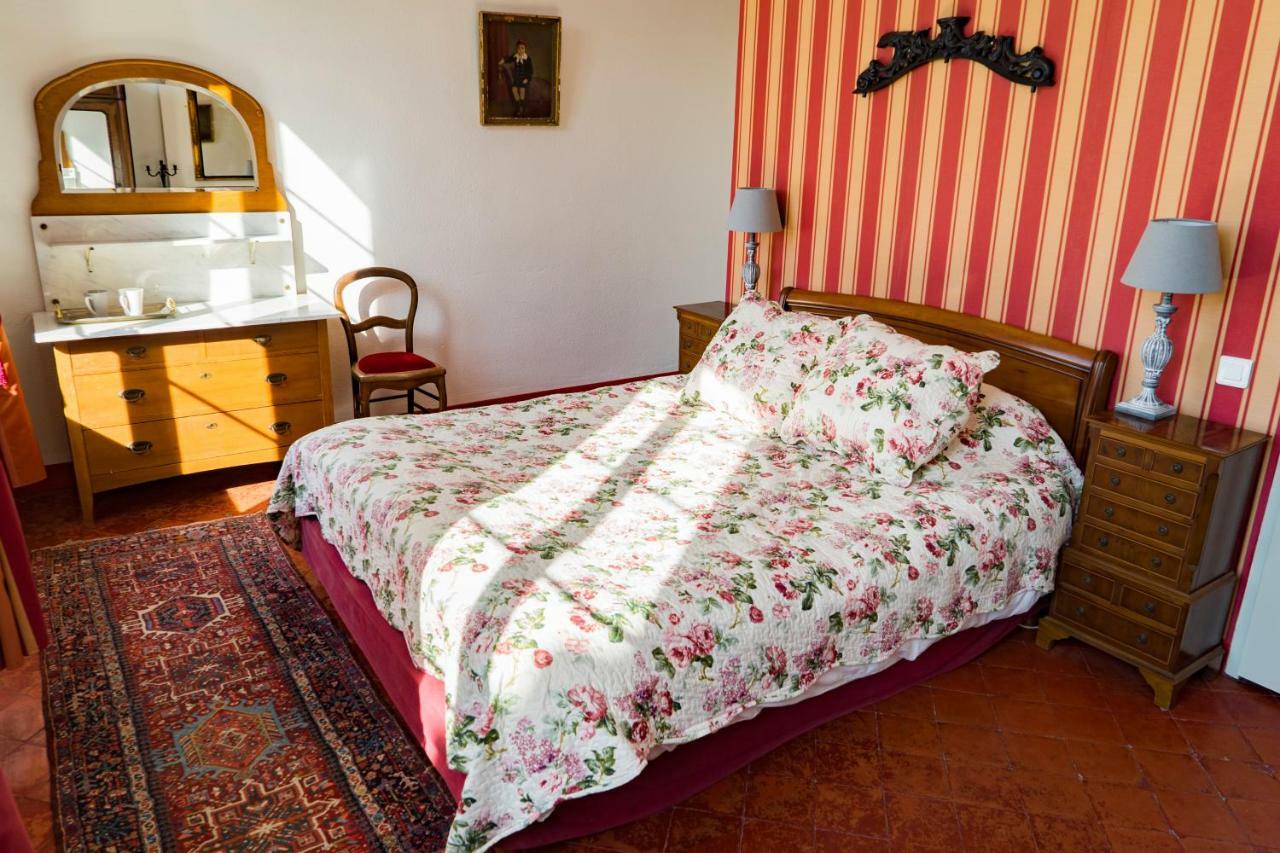 La Maison Des Palmiers Homps  Εξωτερικό φωτογραφία